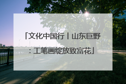 文化中国行丨山东巨野：工笔画绽放致富花