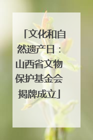 文化和自然遗产日：山西省文物保护基金会揭牌成立