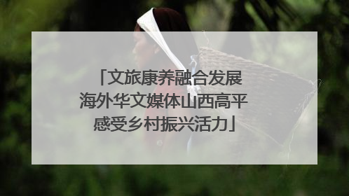 文旅康养融合发展 海外华文媒体山西高平感受乡村振兴活力