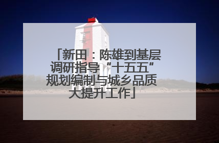 新田：陈雄到基层调研指导“十五五”规划编制与城乡品质大提升工作