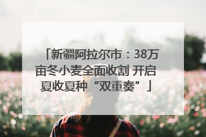 新疆阿拉尔市：38万亩冬小麦全面收割 开启夏收夏种“双重奏”