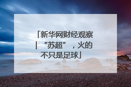 新华网财经观察｜“苏超”，火的不只是足球