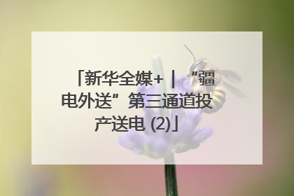 新华全媒+｜“疆电外送”第三通道投产送电 (2)