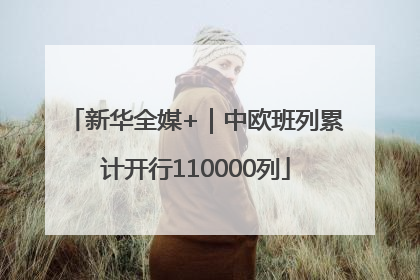 新华全媒+｜中欧班列累计开行110000列