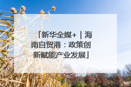 新华全媒+｜海南自贸港：政策创新赋能产业发展