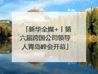 新华全媒+丨第六届跨国公司领导人青岛峰会开幕