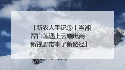新农人手记⑤丨当湘潭白莲遇上云端电商 新视野带来了新路径