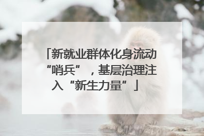 新就业群体化身流动“哨兵”，基层治理注入“新生力量”