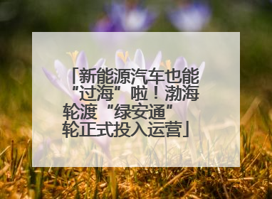 新能源汽车也能“过海”啦！渤海轮渡“绿安通” 轮正式投入运营