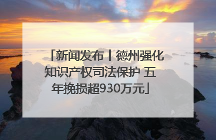 新闻发布丨德州强化知识产权司法保护 五年挽损超930万元