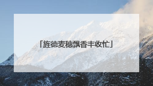 旌德麦穗飘香丰收忙