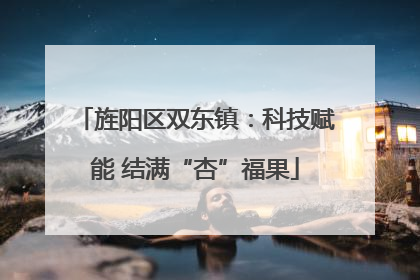 旌阳区双东镇：科技赋能 结满“杏”福果