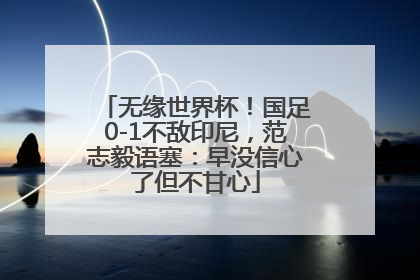 无缘世界杯！国足0-1不敌印尼，范志毅语塞：早没信心了但不甘心