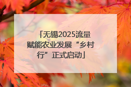 无锡2025流量赋能农业发展“乡村行”正式启动