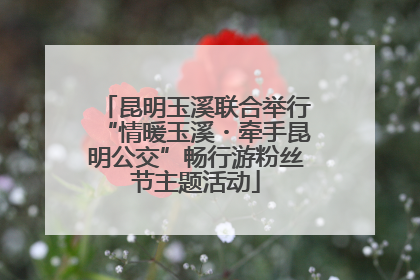 昆明玉溪联合举行“情暖玉溪・牵手昆明公交”畅行游粉丝节主题活动