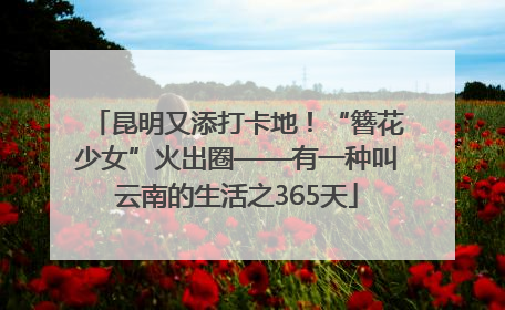 昆明又添打卡地！“簪花少女”火出圈——有一种叫云南的生活之365天