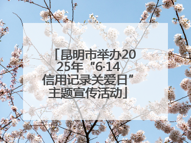 昆明市举办2025年“6·14信用记录关爱日”主题宣传活动