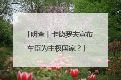 明查｜卡德罗夫宣布车臣为主权国家？