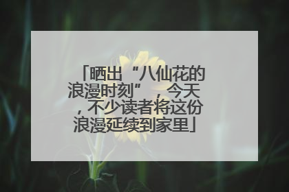 晒出“八仙花的浪漫时刻”，今天，不少读者将这份浪漫延续到家里