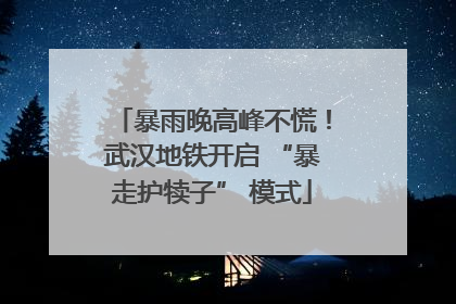 暴雨晚高峰不慌！武汉地铁开启 “暴走护犊子” 模式