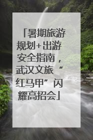 暑期旅游规划+出游安全指南，武汉文旅“红马甲”闪耀高招会