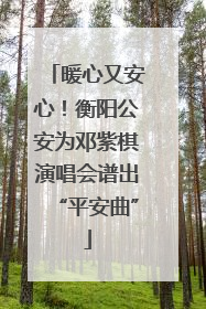 暖心又安心！衡阳公安为邓紫棋演唱会谱出“平安曲”
