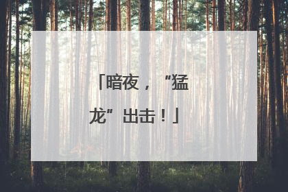 暗夜，“猛龙”出击！