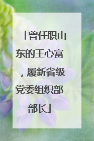 曾任职山东的王心富，履新省级党委组织部部长