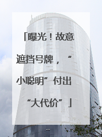 曝光！故意遮挡号牌，“小聪明”付出“大代价”