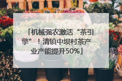 机械强农激活“茶引擎”！清镇中坝村茶产业产能提升50%