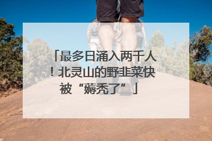 最多日涌入两千人！北灵山的野韭菜快被“薅秃了”