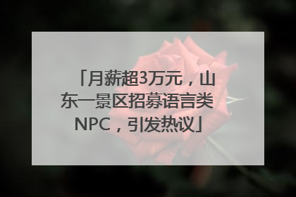 月薪超3万元，山东一景区招募语言类NPC，引发热议