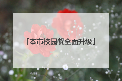 本市校园餐全面升级