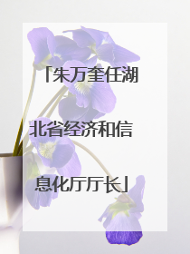朱万奎任湖北省经济和信息化厅厅长