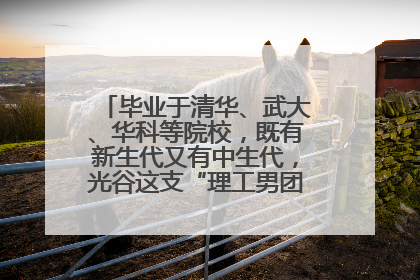 毕业于清华、武大、华科等院校，既有新生代又有中生代，光谷这支“理工男团”为何“出道”？