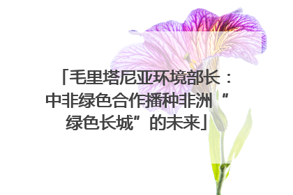 毛里塔尼亚环境部长：中非绿色合作播种非洲“绿色长城”的未来