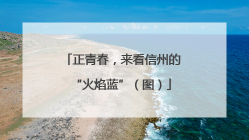 正青春，来看信州的“火焰蓝”（图）