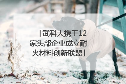 武科大携手12家头部企业成立耐火材料创新联盟