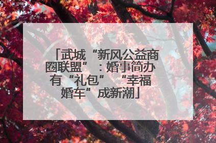 武城“新风公益商圈联盟”：婚事简办有“礼包” “幸福婚车”成新潮