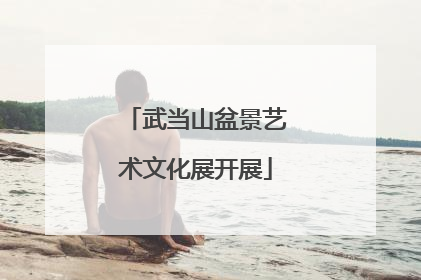 武当山盆景艺术文化展开展
