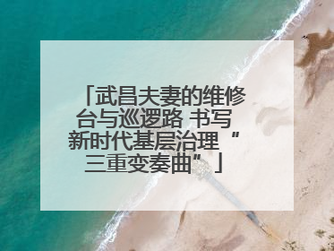 武昌夫妻的维修台与巡逻路 书写新时代基层治理“三重变奏曲”