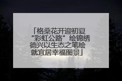 格桑花开迎初夏 “彩虹公路”绘锦绣 德兴以生态之笔绘就宜居幸福图景