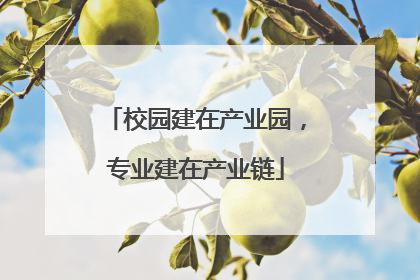 校园建在产业园，专业建在产业链