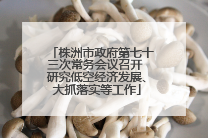 株洲市政府第七十三次常务会议召开 研究低空经济发展、大抓落实等工作