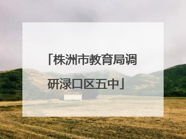 株洲市教育局调研渌口区五中
