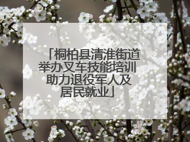 桐柏县清淮街道举办叉车技能培训 助力退役军人及居民就业