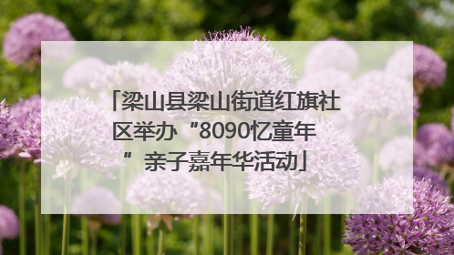 梁山县梁山街道红旗社区举办“8090忆童年”亲子嘉年华活动