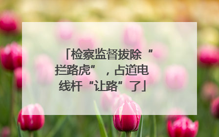 检察监督拔除“拦路虎”，占道电线杆“让路”了