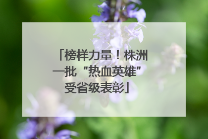 榜样力量！株洲一批“热血英雄”受省级表彰