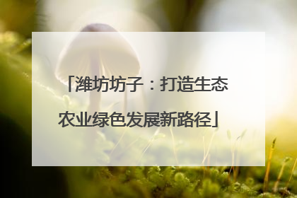 潍坊坊子：打造生态农业绿色发展新路径